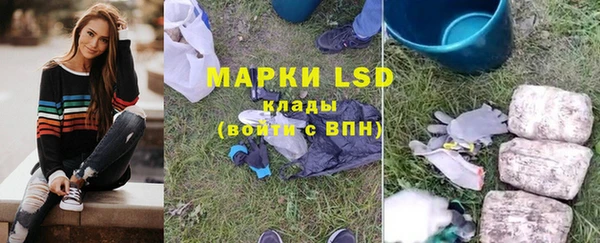 ГАЛЛЮЦИНОГЕННЫЕ ГРИБЫ Аркадак