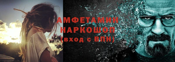 ГАЛЛЮЦИНОГЕННЫЕ ГРИБЫ Аркадак
