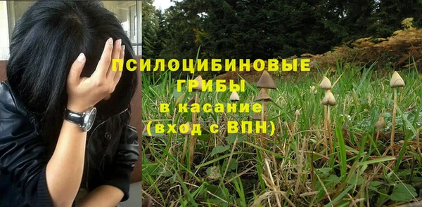 ГАЛЛЮЦИНОГЕННЫЕ ГРИБЫ Аркадак