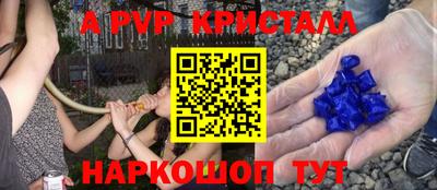 трава Пугачёв