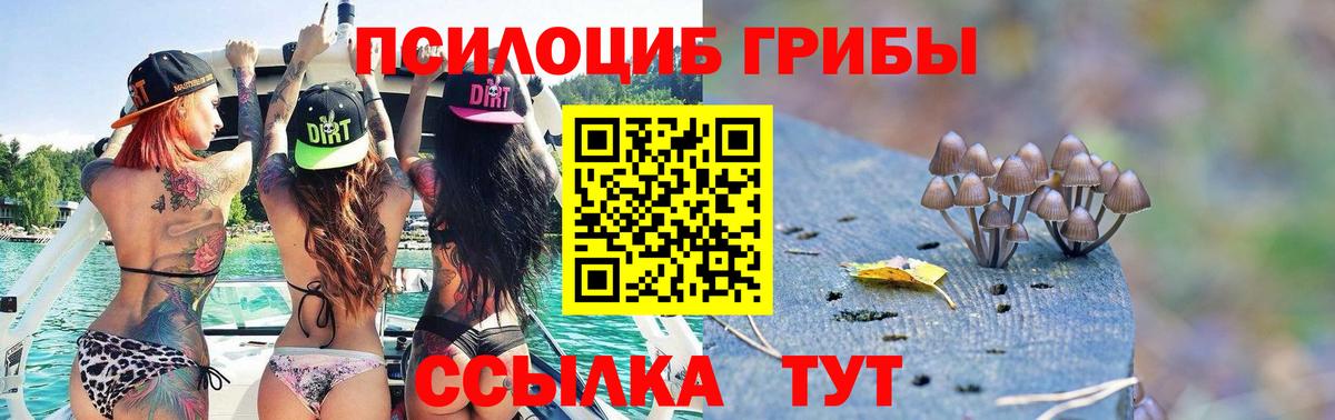 Галлюциногенные грибы Cubensis  купить наркотики цена  Одинцово  Вход с VPN 